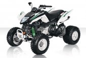 2010 Arctic Cat 300 DVX photo